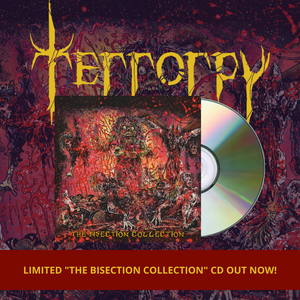 Terrorpy on CD!
