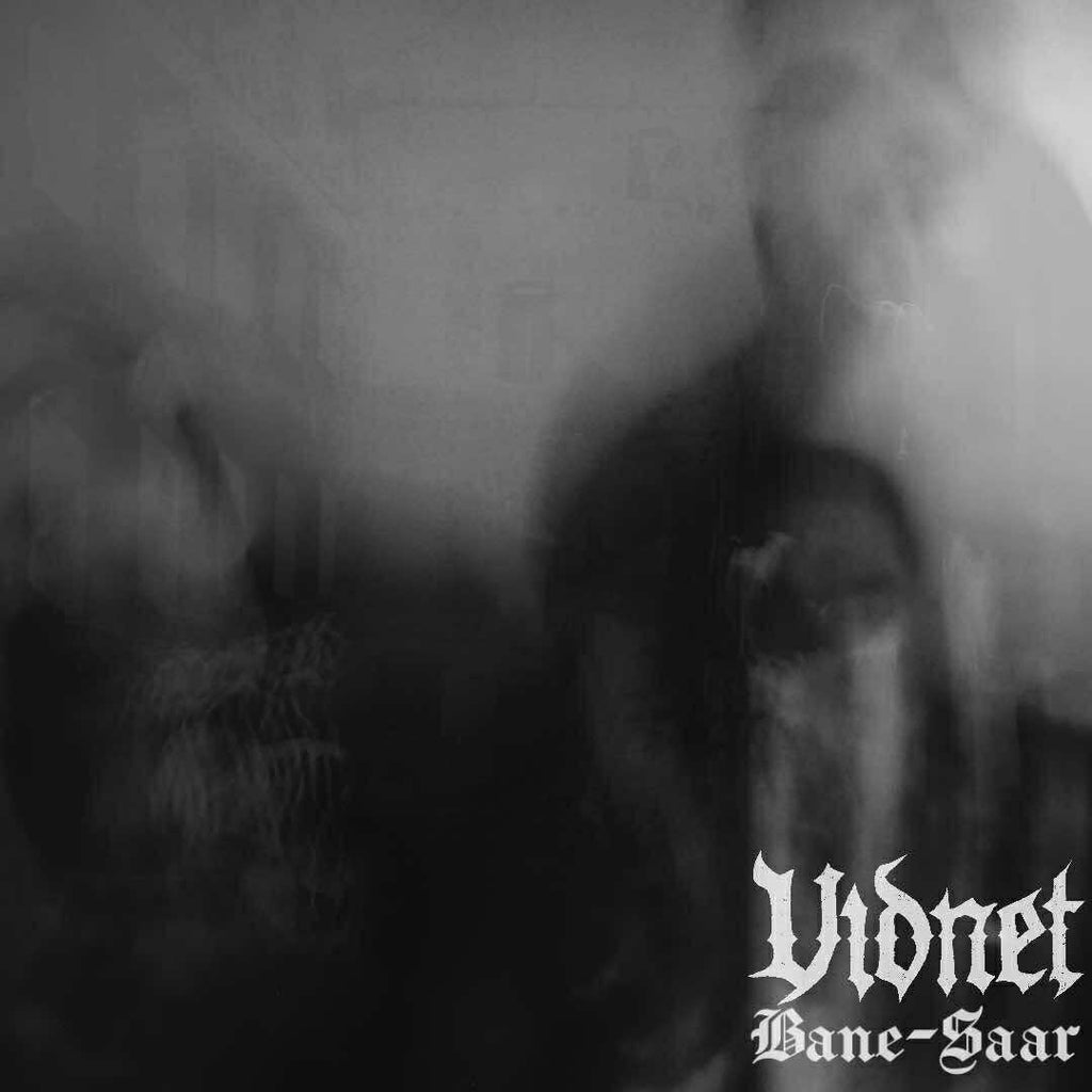 Vidnet single premiere out via Selvtægt.dk