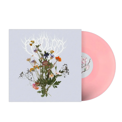 Fredløs, LP (Hybenblomst Version)